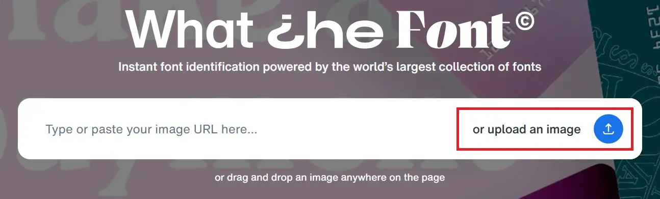 Immagine: Funzione di upload dell&rsquo;applicazione web