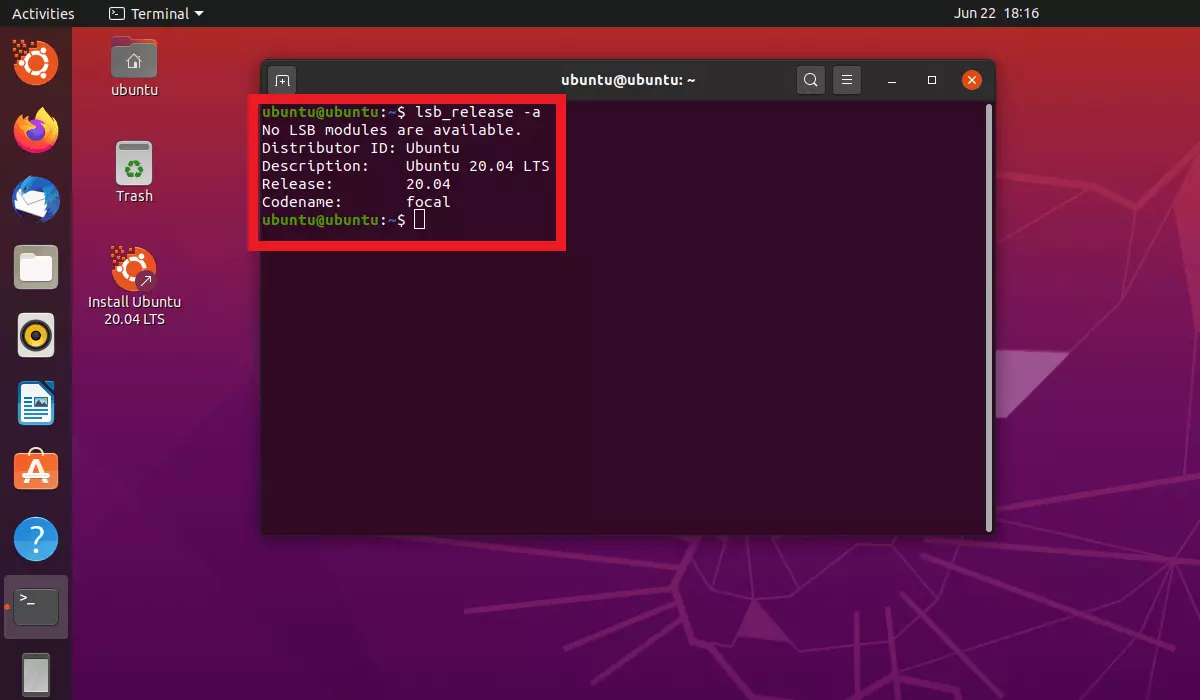 Immagine: Comando lsb_release -a nel terminale