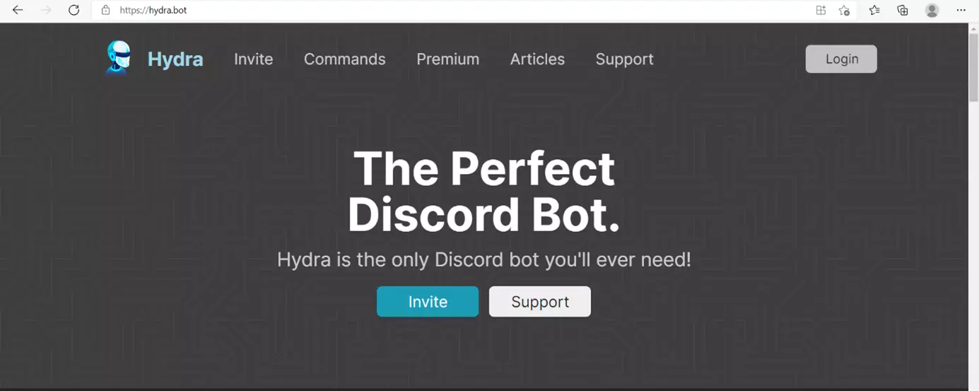 Richiamate il sito web del bot musicale desiderato