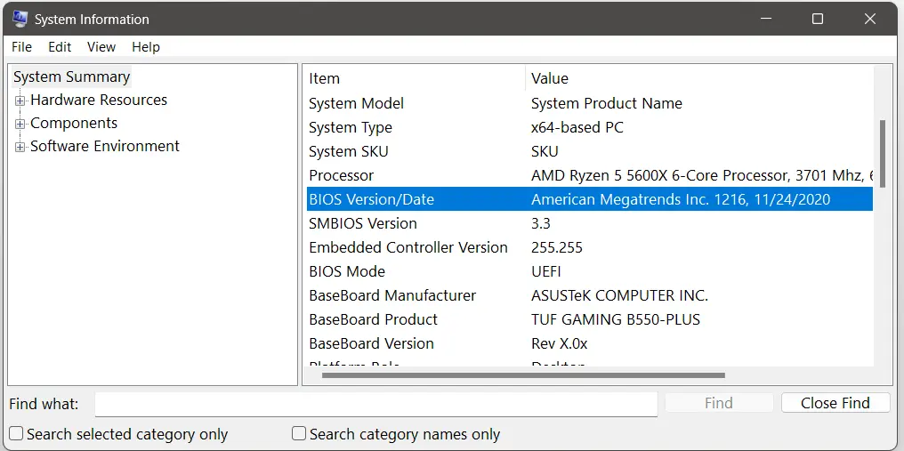 Immagine: Windows 11: System Information