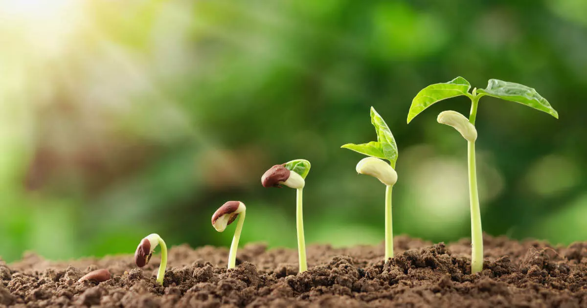 Immagine: Standard ISO 14001 per una maggiore sostenibilit&agrave;