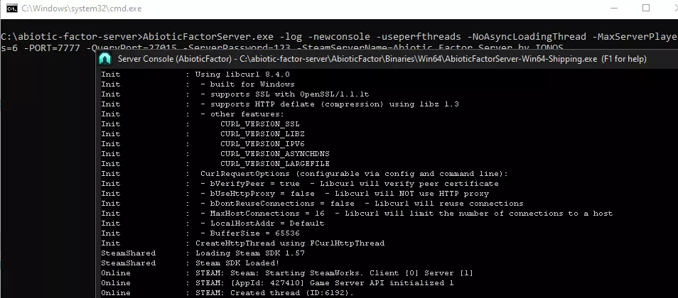 Immagine: Avvio del server dedicato per Abiotic Factor nella console del server