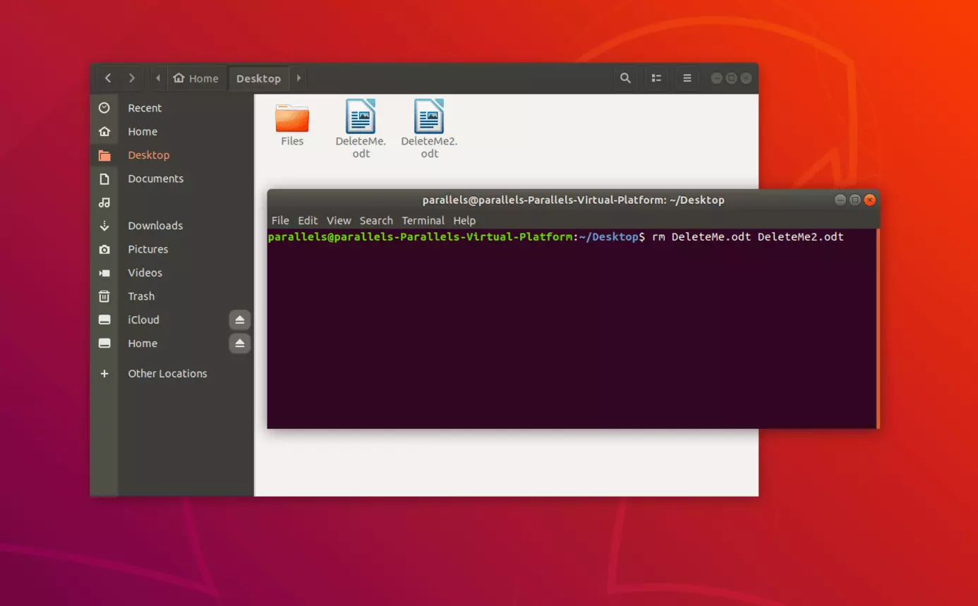 Immagine: Cancellare file con un determinato nome in Linux dal terminale