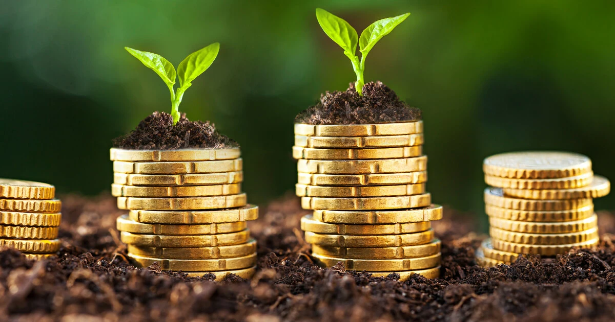 Immagine: Il capitale iniziale per un negozio online