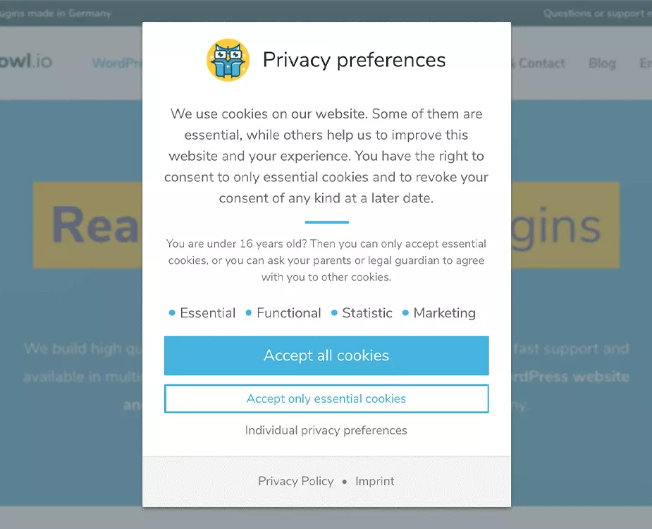 Real Cookie Banner: esempio di avviso