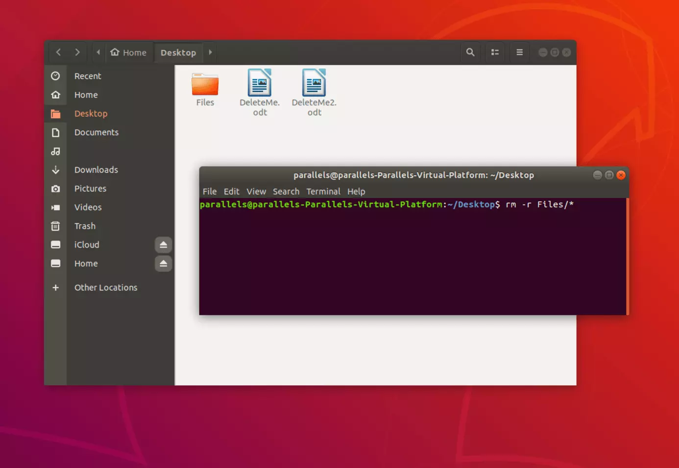 Immagine: Cancellare file e sottocartelle di una cartella in Linux dal terminale