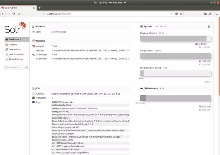 Pagina panoramica dell’applicazione web Solr con memoria fisica, swap space, contatore di indici di file e informazioni sulla memoria JVM.