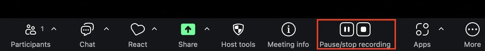 Immagine: Menu di registrazione di Zoom: &ldquo;mettere in pausa/interrompere la registrazione&rdquo;