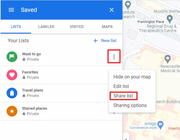 Schermata delle opzioni possibili per i segnaposti su Google Maps Schermata delle opzioni possibili per i segnaposti su Google Maps