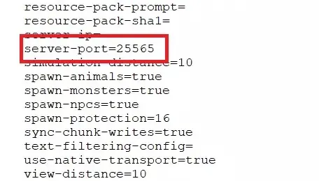 Immagine: Server Minecraft: estratto dal file server.properties