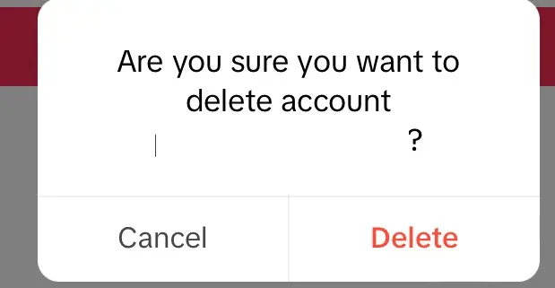 Immagine: TikTok: conferma finale di cancellazione account