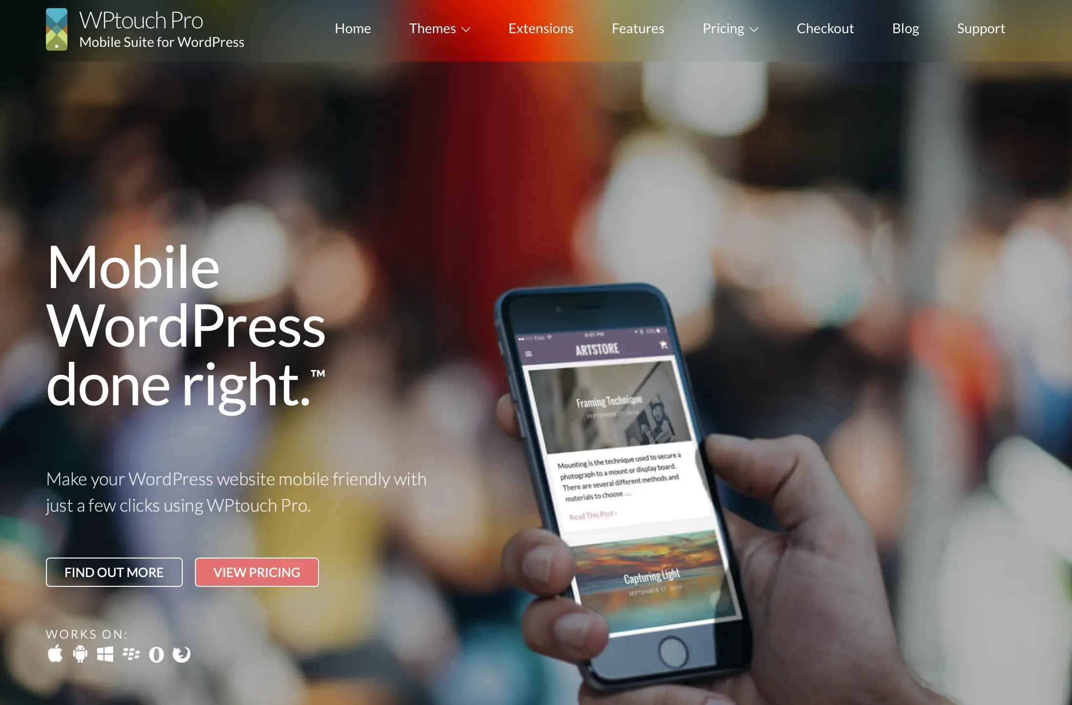 Immagine: Screenshot del sito di WPtouch Pro