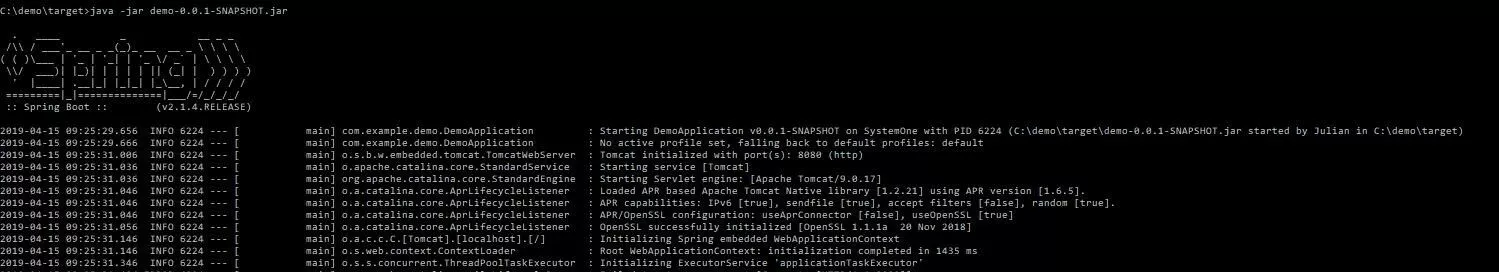 Immagine: Inizializzazione dell'applicazione Spring Boot
