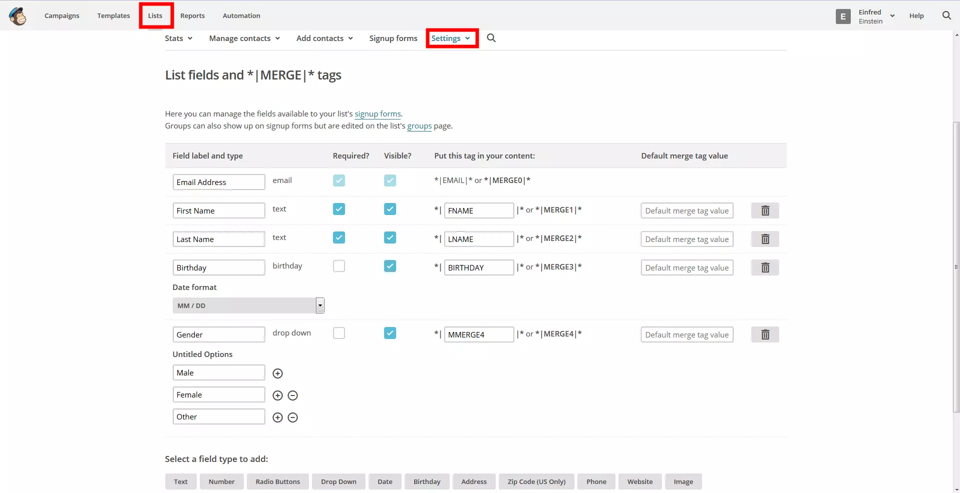 Immagine: Panoramica dei campi relativi alle liste su MailChimp