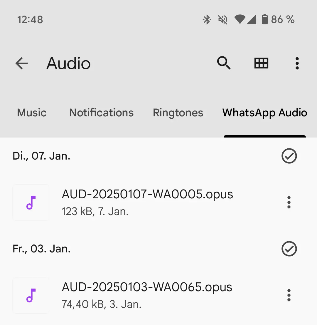 Immagine: Screenshot di un dispositivo Android: sottocartella “WhatsApp Audio”