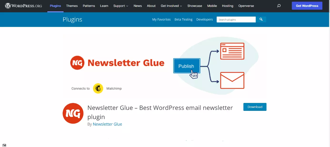 Immagine: Pagina web di Newsletter Glue
