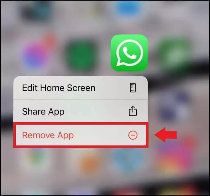 Immagine: Menu dell’app per disinstallare WhatsApp sulla schermata principale