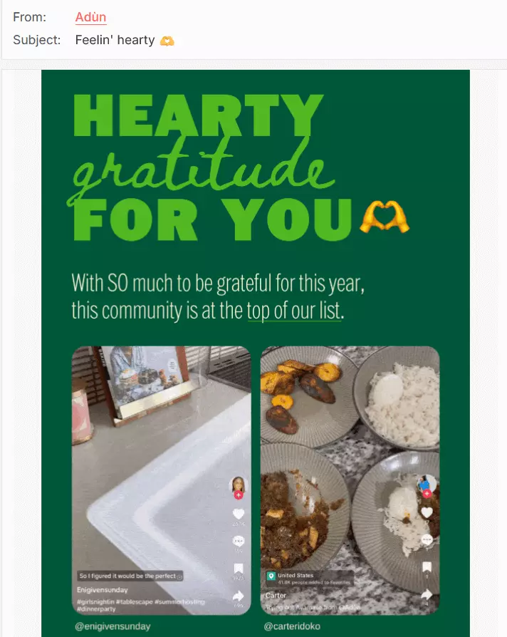 Esempio di una newsletter con commento di un cliente sul sito dell’azienda Adùn Immagine: Esempio di una newsletter con commento di un cliente sul sito dell’azienda Adùn