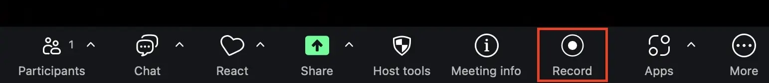 Immagine: Pulsante &ldquo;Registra&rdquo; nella barra dei menu