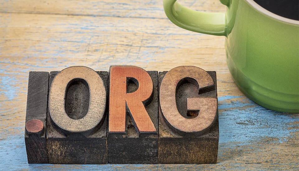 Cosa significa .org? Una spiegazione dell’estensione di dominio Immagine: Cosa significa .org? Una spiegazione dell’estensione di dominio