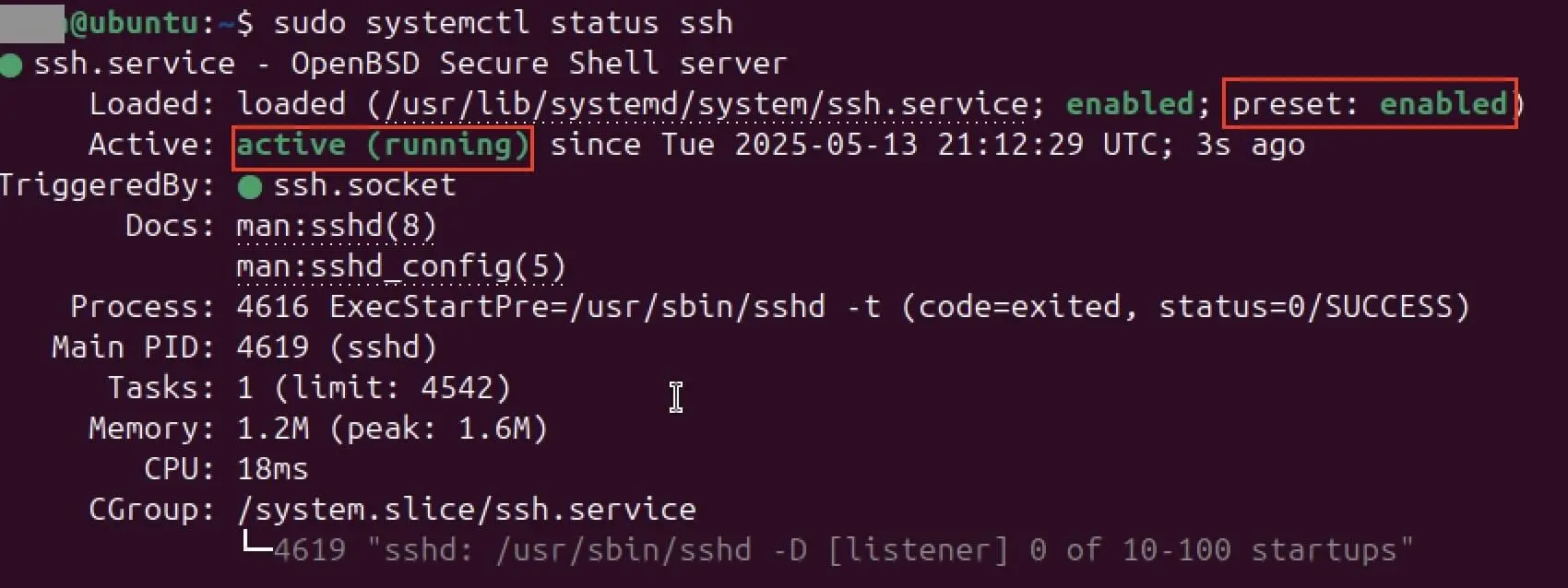 Screenshot dello stato SSH nel terminale Immagine: Screenshot dello stato SSH nel terminale