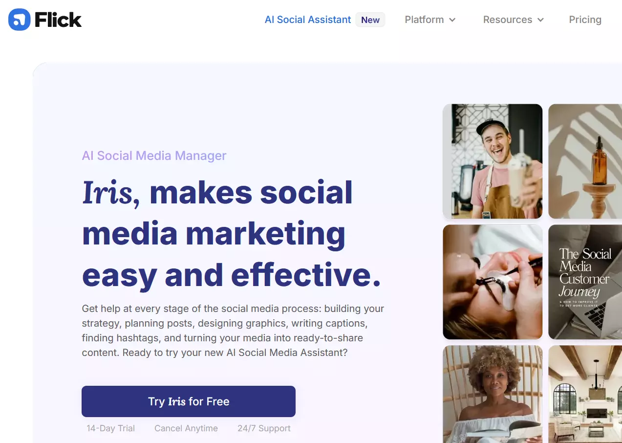 Screenshot del sito web di Flick Immagine: Screenshot del sito web di Flick