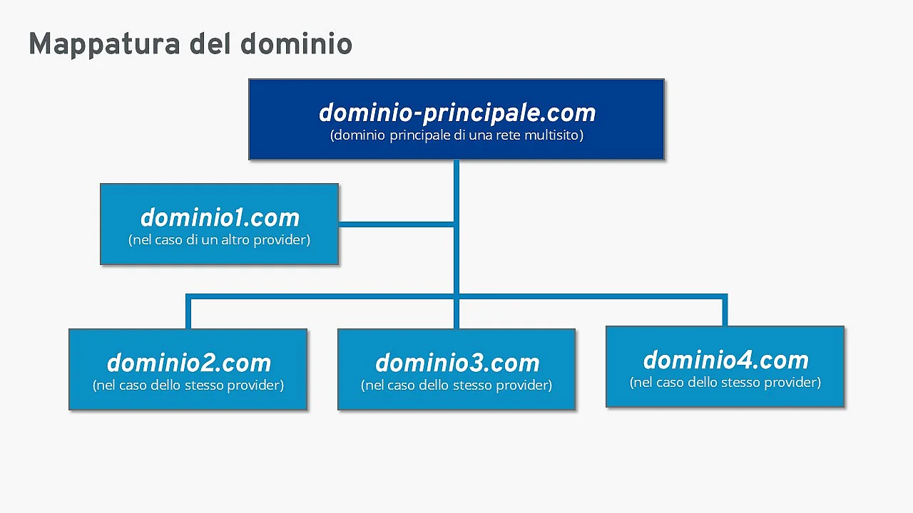 Schema della mappatura del dominio Immagine: Schema della mappatura del dominio
