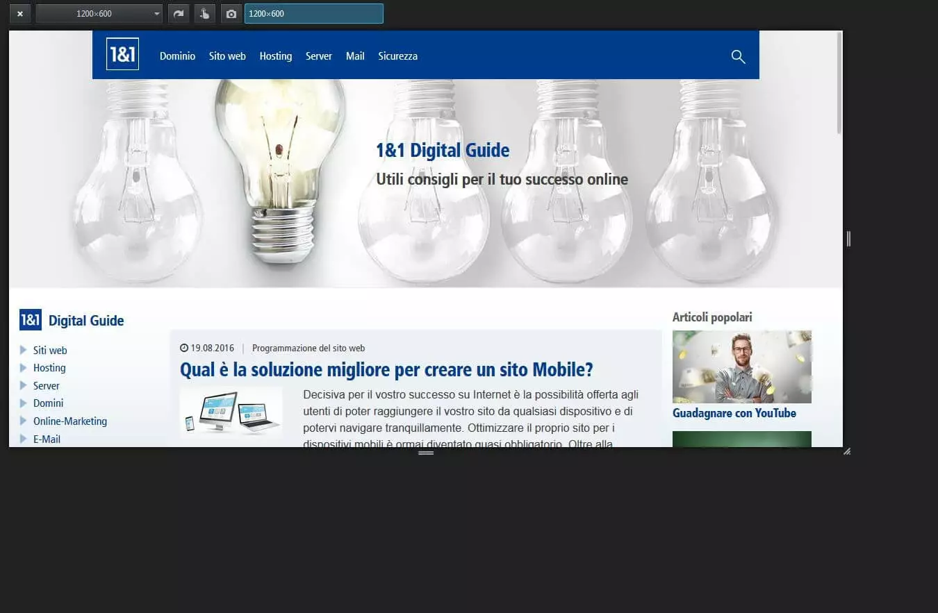 Immagine: Visualizzazione flessibile su Mozilla Firefox Tool