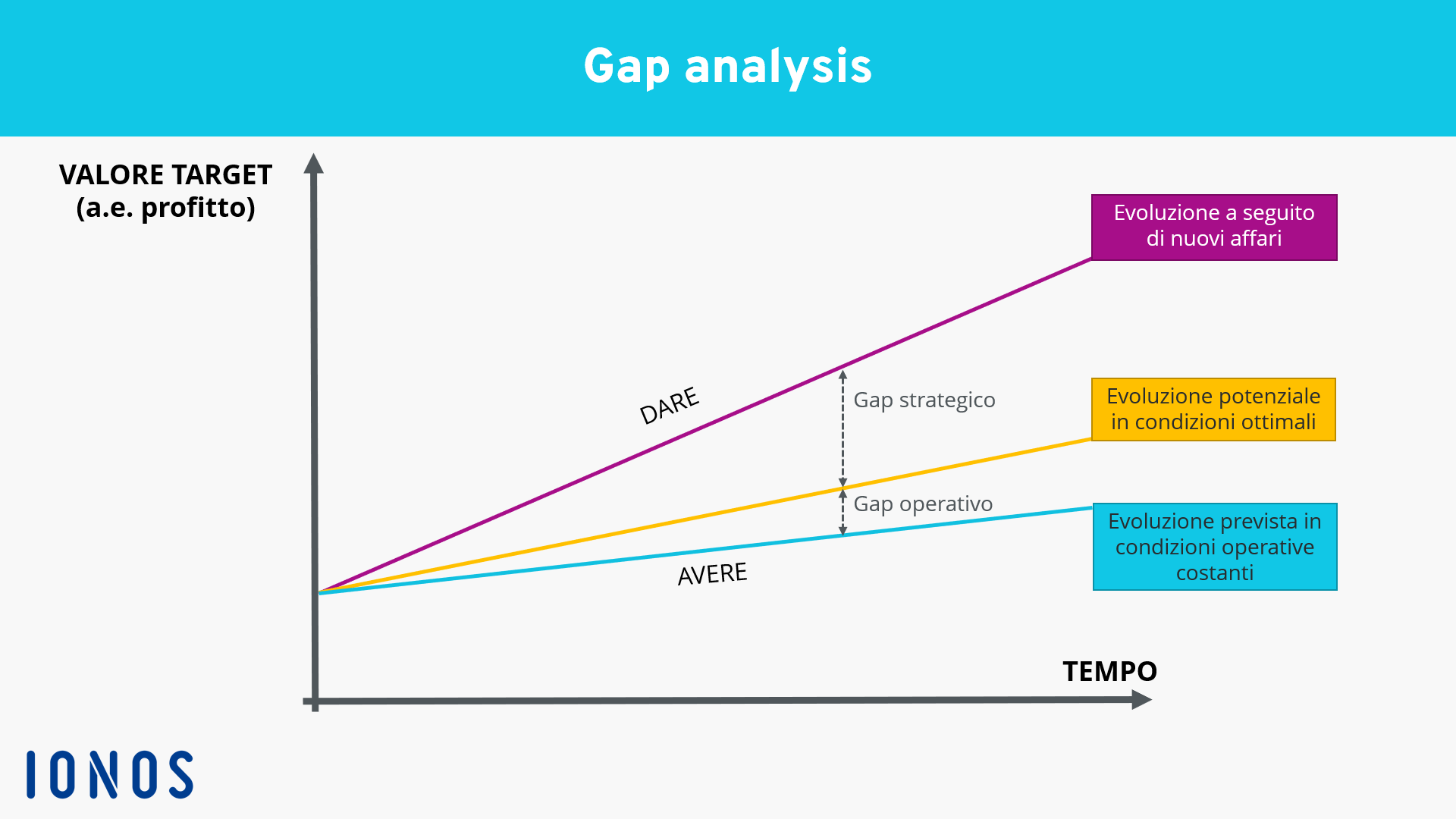 Rappresentazione grafica della gap analysis nel sistema di coordinate